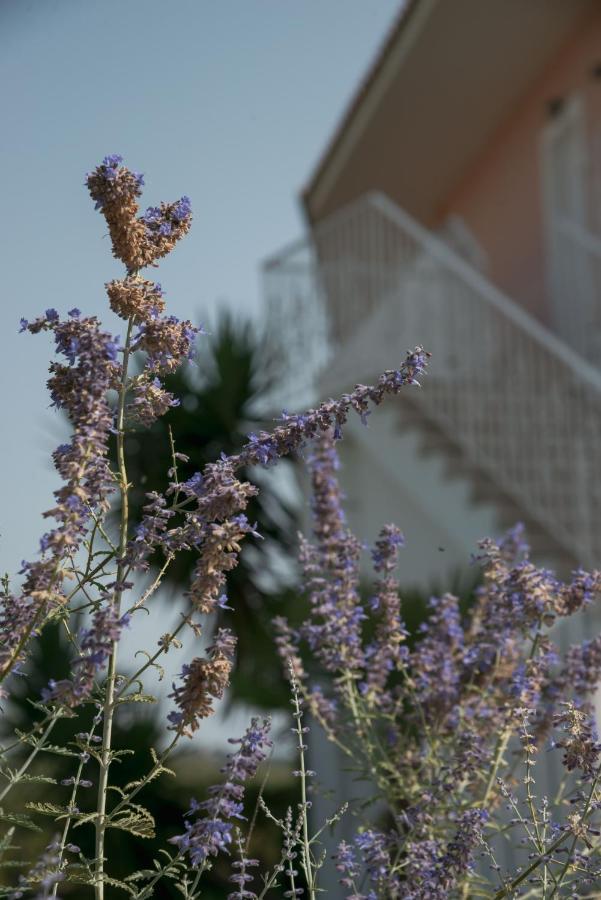 Ecoresort Hotel Zefyros Áyios Kírikos Kültér fotó